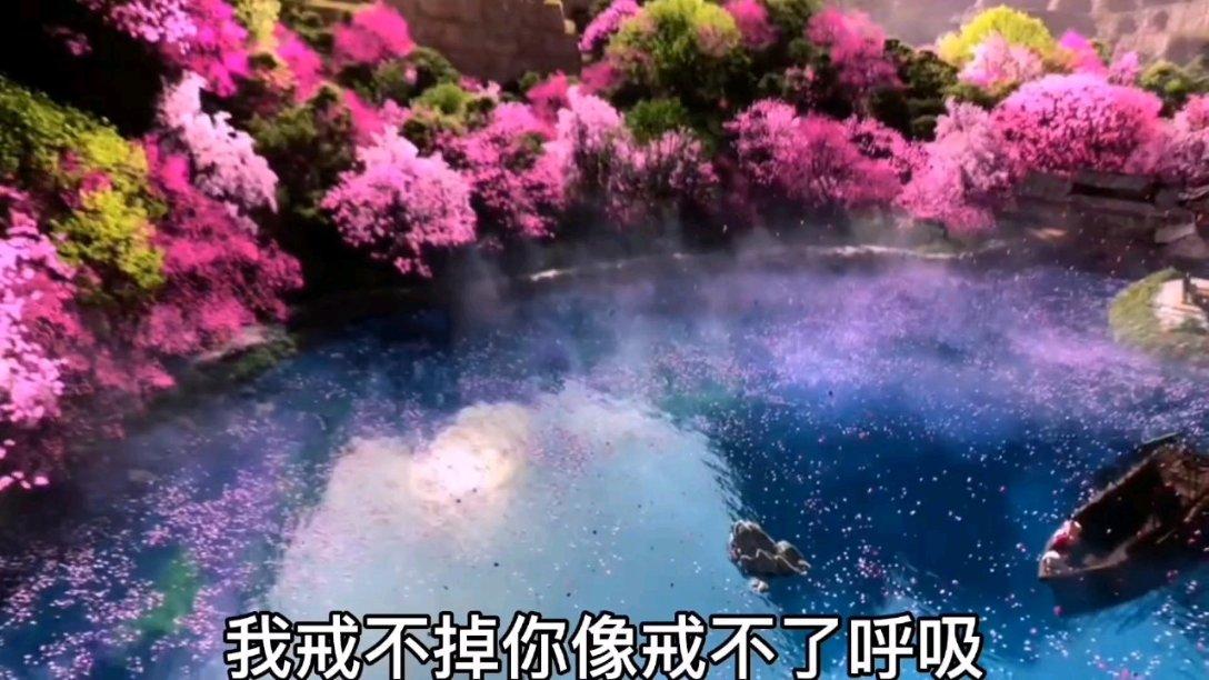 春雨直播app